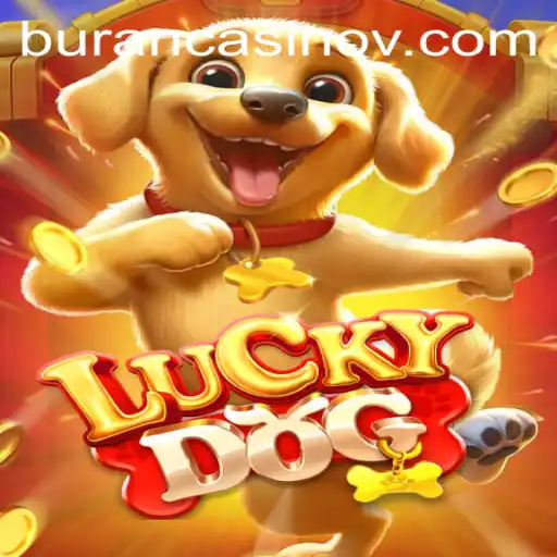 Explore the Exciting World of LuckyDog: A Guide to 16bet Vip